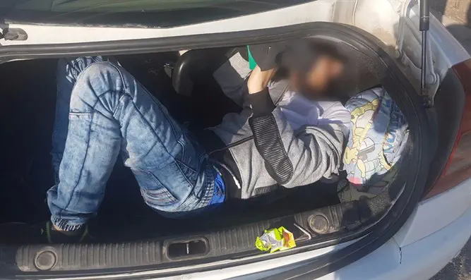 Illegal infiltrator found in trunk of car      