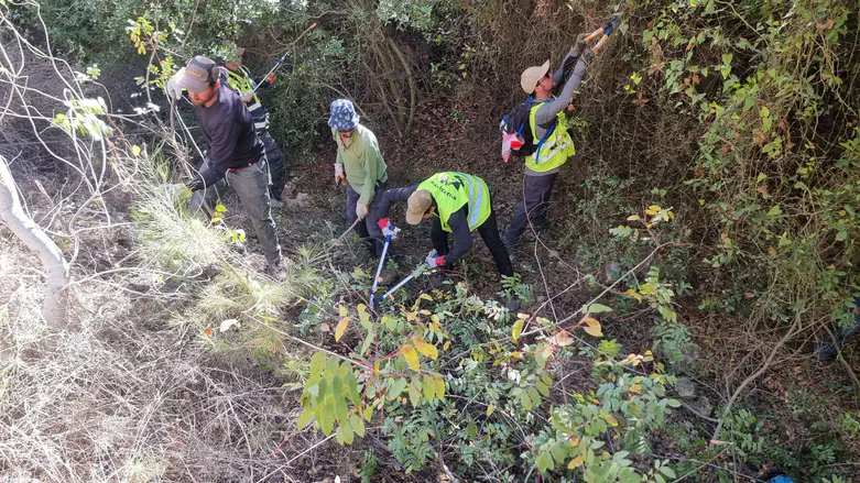 Search for missing man reignited near Beit Shemesh