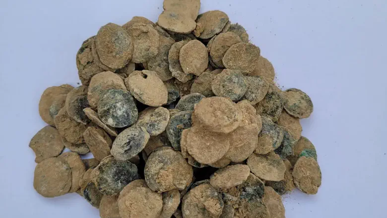 Rare hoard of 160 coins belonging to Hasmonean king discovered in Jordan Valley