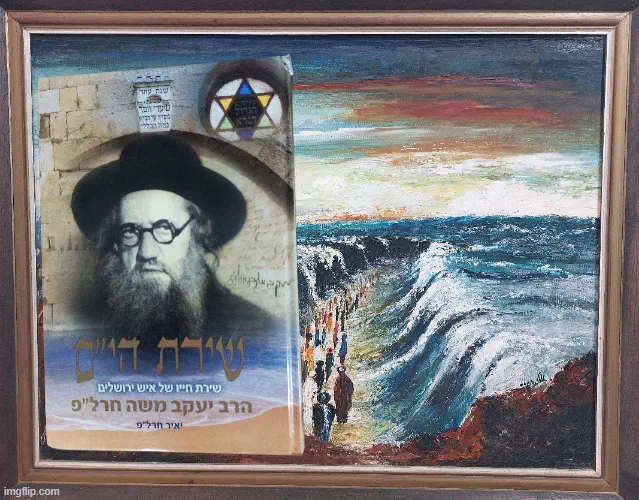 Rav Charlap book - montage