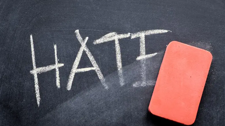 What Is The Opposite Emotion Of Hate